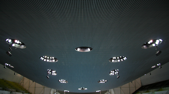 The roof of the Olympic Pool